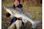 Ripper REDBASS KICKER L - 100 mm