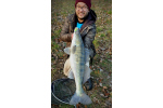Ripper REDBASS KICKER L - 100 mm