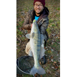 Ripper REDBASS KICKER L - 100 mm