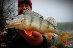 Ripper REDBASS SWIMMER SLIM XL - 125 mm