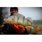 Ripper REDBASS SWIMMER SLIM XL - 125 mm