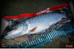 Ripper REDBASS SWIMMER SLIM XL - 125 mm