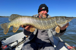 kicker_xx_stika_1-150x100-1.jpg