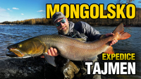 VIDEO: Expedice za tajmenem na mongolskou řeku Šiškid