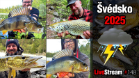 VIDEO: Švédsko 2025 | Lososi, rybaření, kempování a strašné počasí | Přívlač Live #148