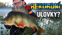 VIDEO: Chytili jsme nový osobák? - Jezero velkých okounů