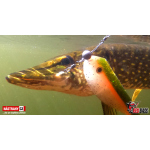 Prívlačový systém Iron Stinger System 2 Hooks REDBASS