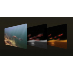 Nahadzovací sonar Deeper Fishfinder CHIRP+ 4