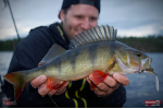 Smáčik REDBASS ALS