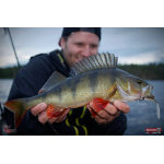 Smáčik REDBASS ALS