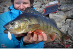 Smáčik REDBASS ALS