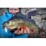 Smáčik REDBASS ALS