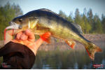 Smáčik REDBASS ALS