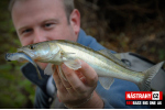 Veľký smáčik REDBASS BIG ONE 5
