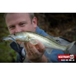 Veľký smáčik REDBASS BIG ONE 5