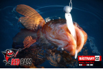 Veľký smáčik REDBASS BIG ONE 5