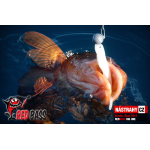 Veľký smáčik REDBASS BIG ONE 5
