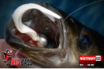 Veľký smáčik REDBASS BIG ONE 5