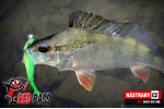 Veľký smáčik REDBASS BIG ONE 5