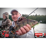 Veľký smáčik REDBASS BIG ONE 5