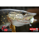 Veľký smáčik REDBASS BIG ONE 5