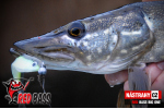 Veľký smáčik REDBASS BIG ONE 5