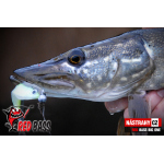 Veľký smáčik REDBASS BIG ONE 5