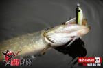 Veľký smáčik REDBASS BIG ONE 5
