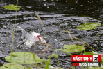 Veľký smáčik REDBASS BIG ONE 5