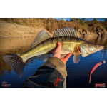 Veľký smáčik REDBASS BIG SNAKE XL