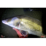 Veľký smáčik REDBASS BIG SNAKE XL
