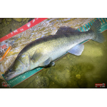 Veľký smáčik REDBASS BIG SNAKE XL
