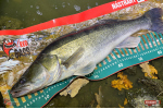Veľký smáčik REDBASS BIG SNAKE XXL