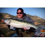 Veľký smáčik REDBASS BIG SNAKE XL