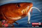 Veľký smáčik REDBASS BIG SNAKE XXL