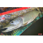 Veľký smáčik REDBASS BIG SNAKE XL