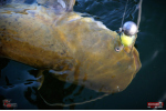 Veľký smáčik REDBASS BIG SNAKE XXL