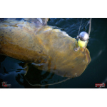 Veľký smáčik REDBASS BIG SNAKE XL