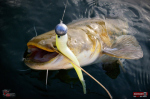 Veľký smáčik REDBASS BIG SNAKE XXL