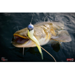 Veľký smáčik REDBASS BIG SNAKE XL