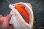 Veľký smáčik REDBASS BIG SNAKE XXL
