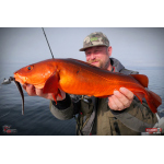 Veľký smáčik REDBASS BIG SNAKE XL