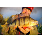 Cikáda Metal Vib Daiwa Prorex 3,8 cm, 7 g