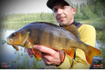 Cikáda Metal Vib Daiwa Prorex 4,8 cm, 14 g