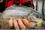 Jigstreamer Marabou REDBASS 3 g