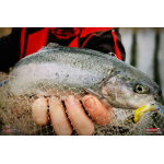 Jigstreamer Marabou REDBASS 2 g
