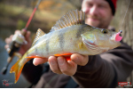 Jigstreamer Marabou REDBASS 3 g