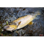 Jigstreamer Marabou REDBASS 2 g