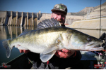 Ripper REDBASS KICKER L - 100 mm