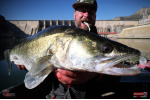 Ripper REDBASS KICKER L - 100 mm